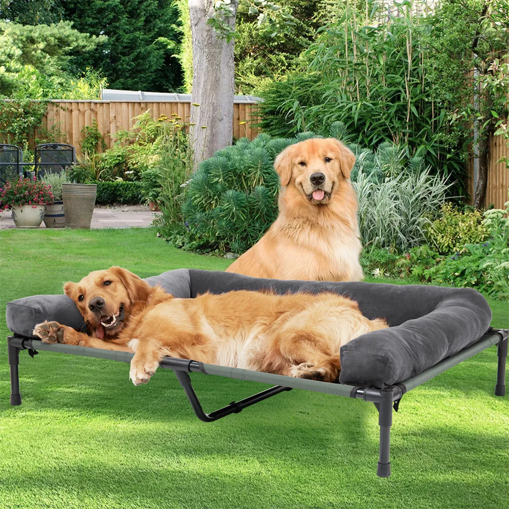 BINGOPAW Outdoor Dog Bed Eleva - Outdoor Camping Cot review and price