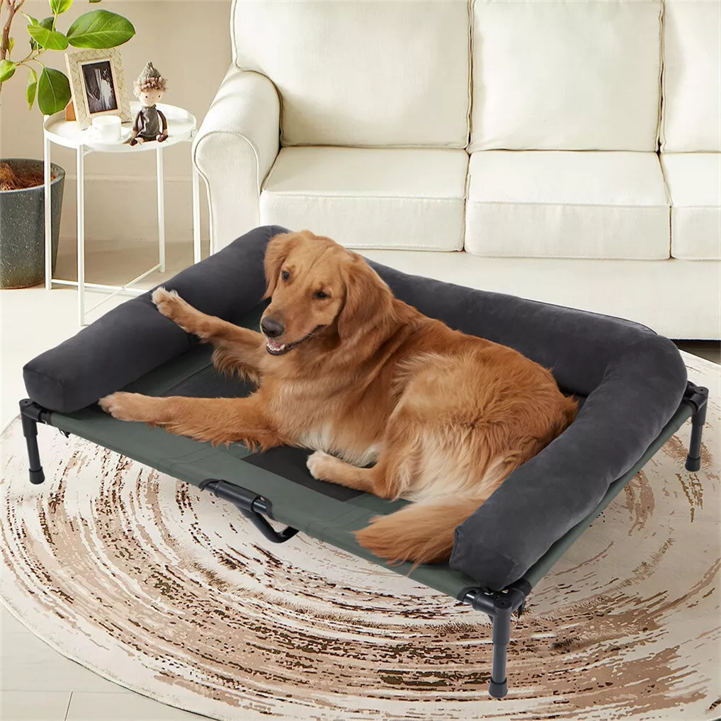 BINGOPAW Outdoor Dog Bed Eleva - Outdoor Camping Cot review and price
