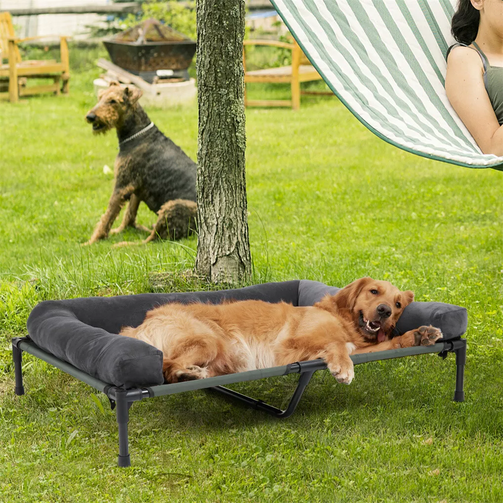 BINGOPAW Outdoor Dog Bed Eleva - Outdoor Camping Cot review and price