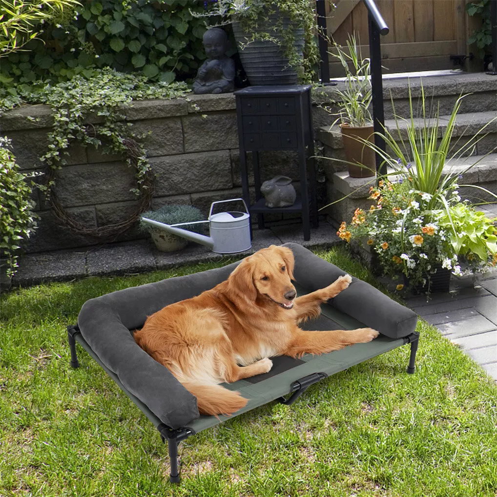 BINGOPAW Outdoor Dog Bed Eleva - Outdoor Camping Cot review and price