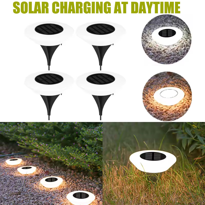 Solar Ground Lights 1/4Pack LE - Outdoor Camping Decke review and price